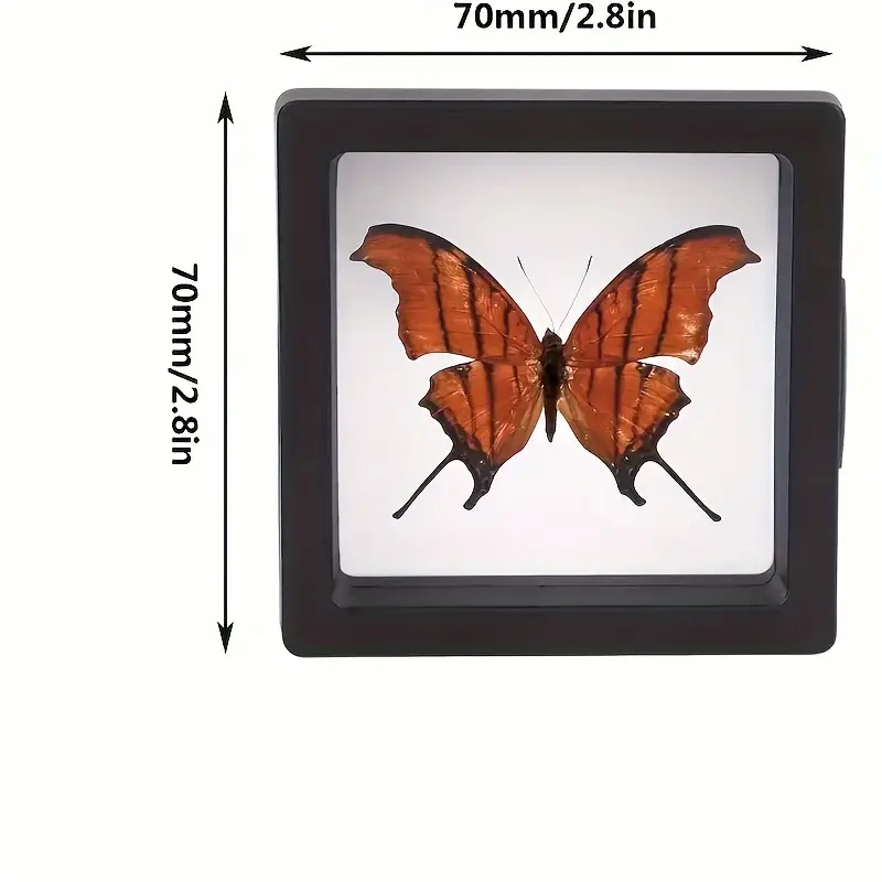 20 قطعة Clearview ثلاثية الأبع - مراجعة Jewelry Making Tray وسعره